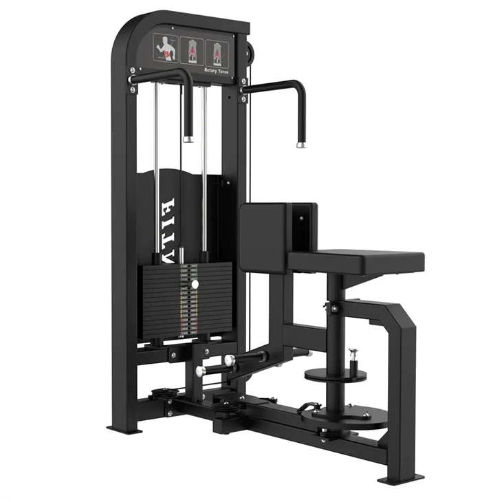 The Rotary Torso Trainer price