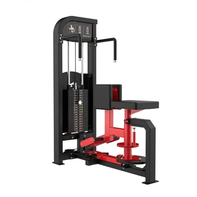 De Rotary Torso Trainer